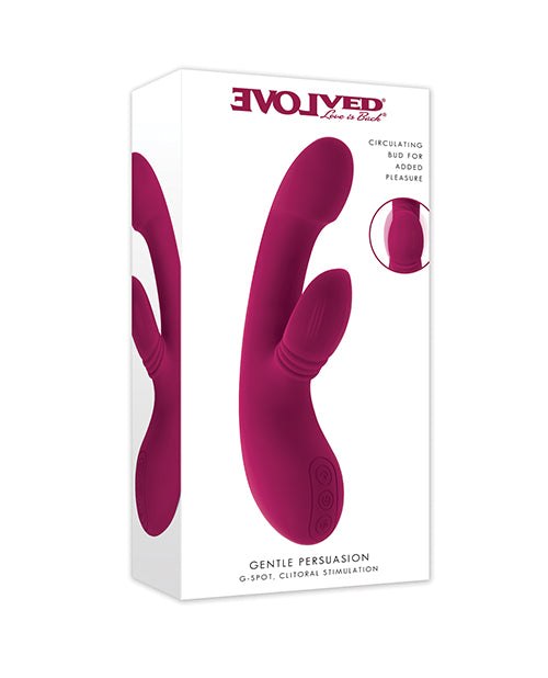 Evolved Gentle Persuasion - Burgundy
